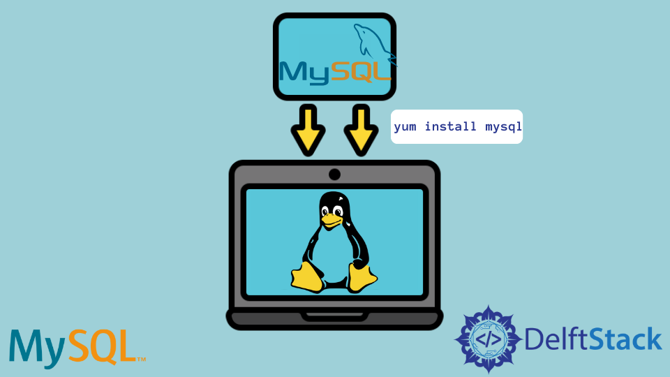 install-the-mysql-client-in-linux-delft-stack